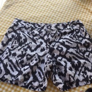 Loft shorts